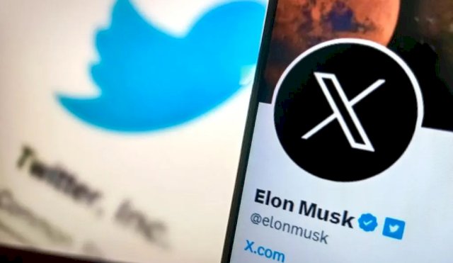 Elon Musk develó cómo se llamaran los 