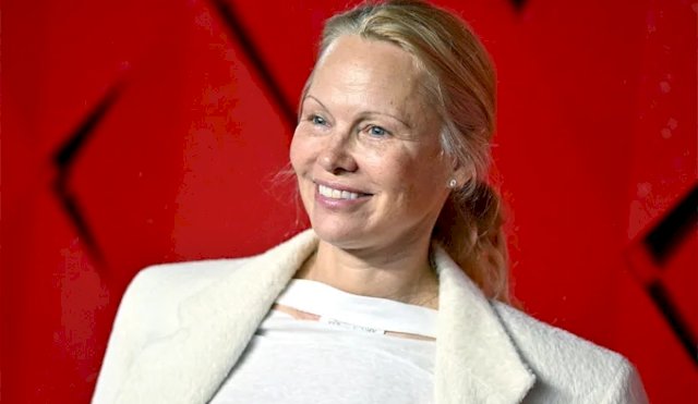 PAMELA