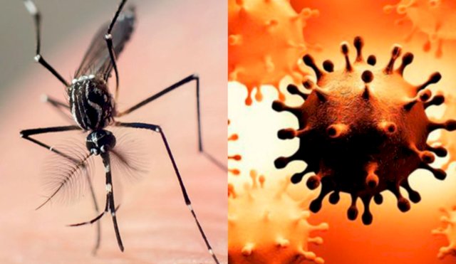 COVIDENGUE