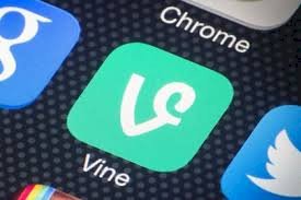 VINE
